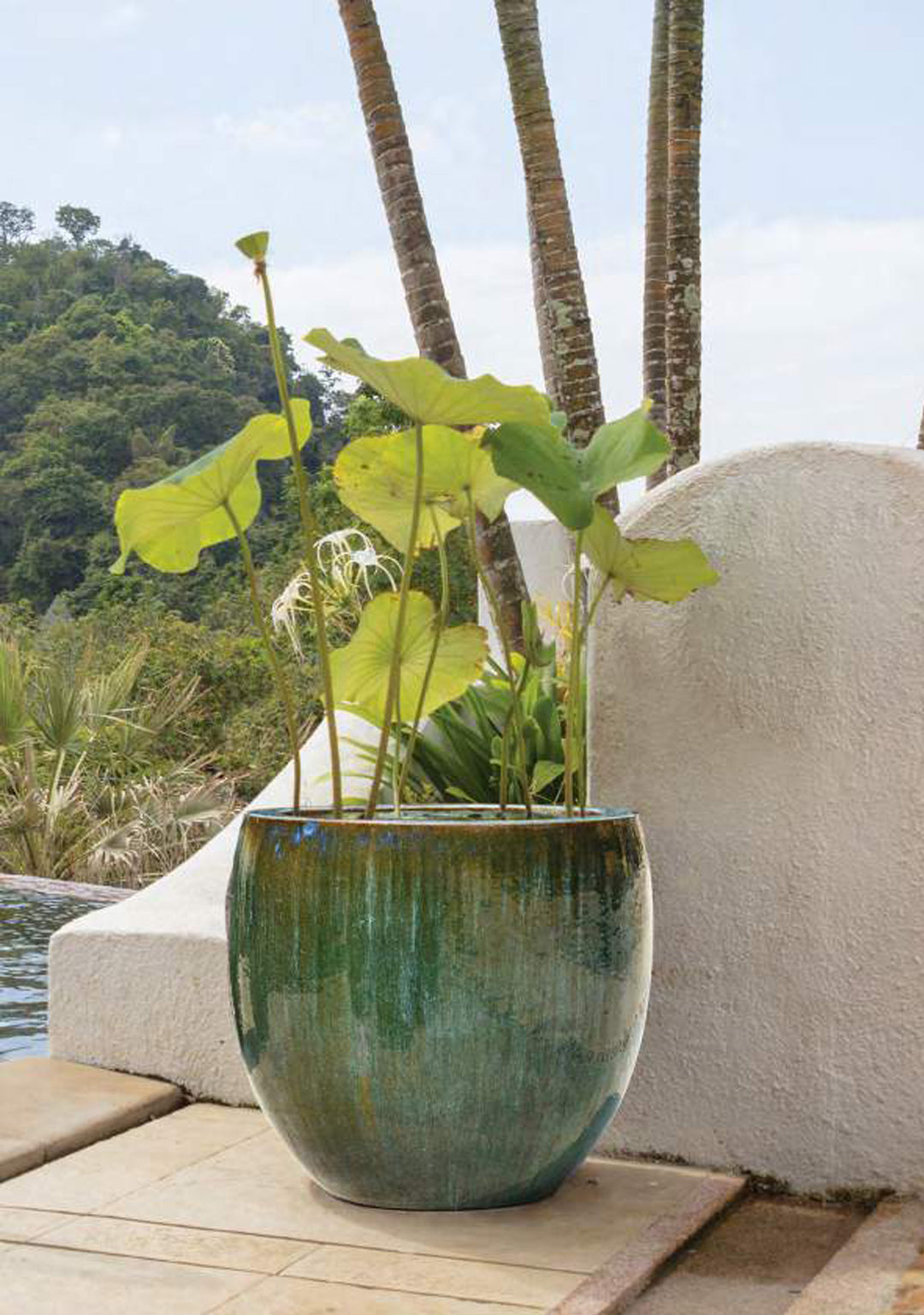 Luxury pots Doha Qatar Plants