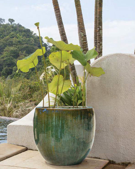 Luxury pots Doha Qatar Plants