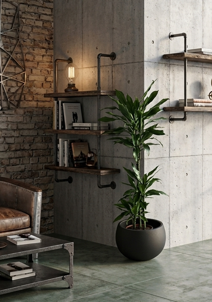Dracaena Janet
