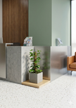 Epipremnum Moss Pole