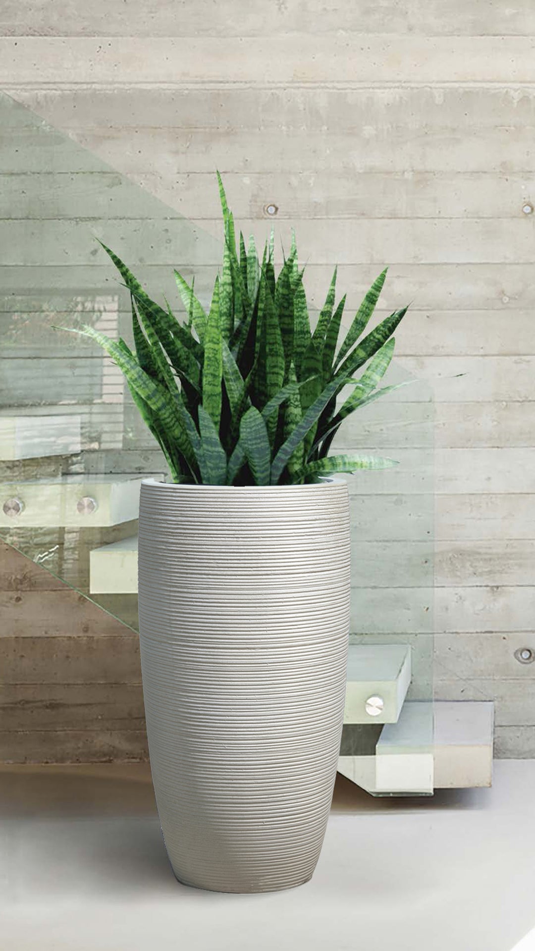 Antique White Horizontal Long Egg Pot