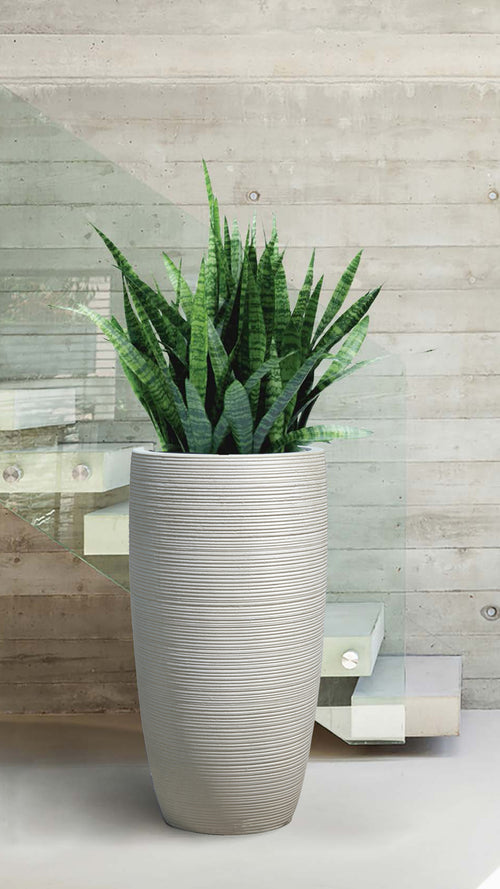 Antique White Horizontal Long Egg Pot