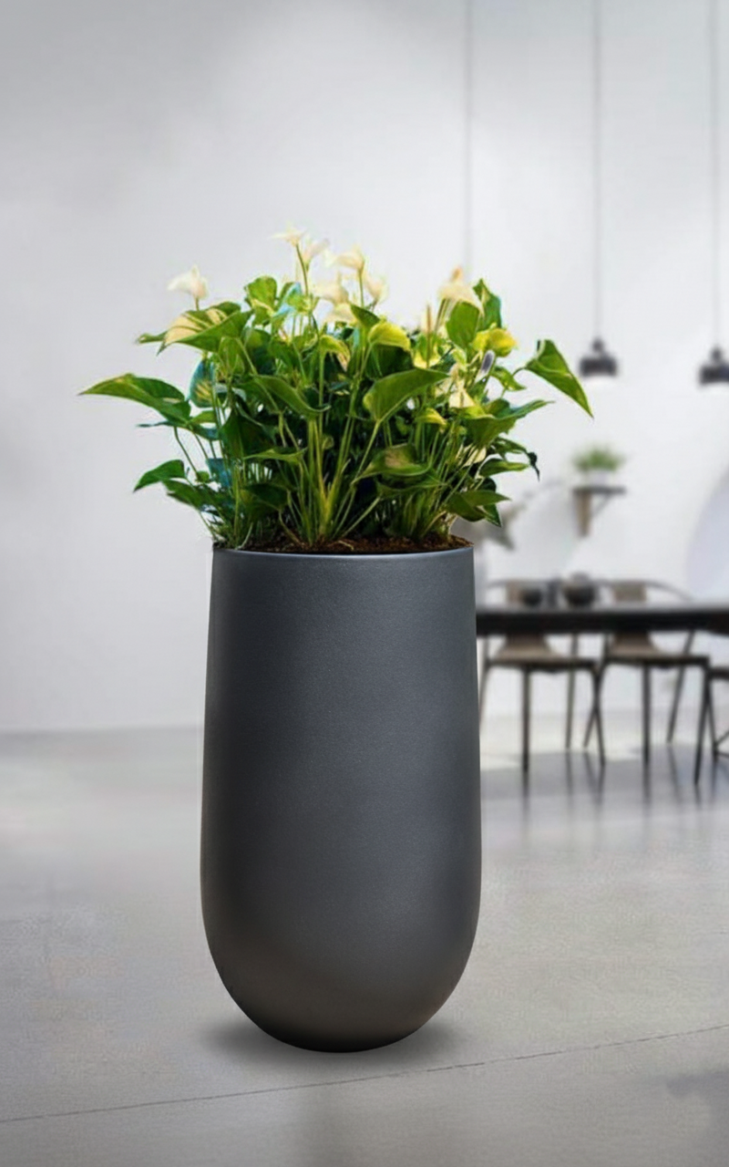 Black Trend Charcoal Tall Balloon Park