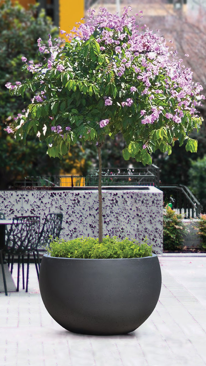 Concrete Surface – Charcoal Grand Bowl