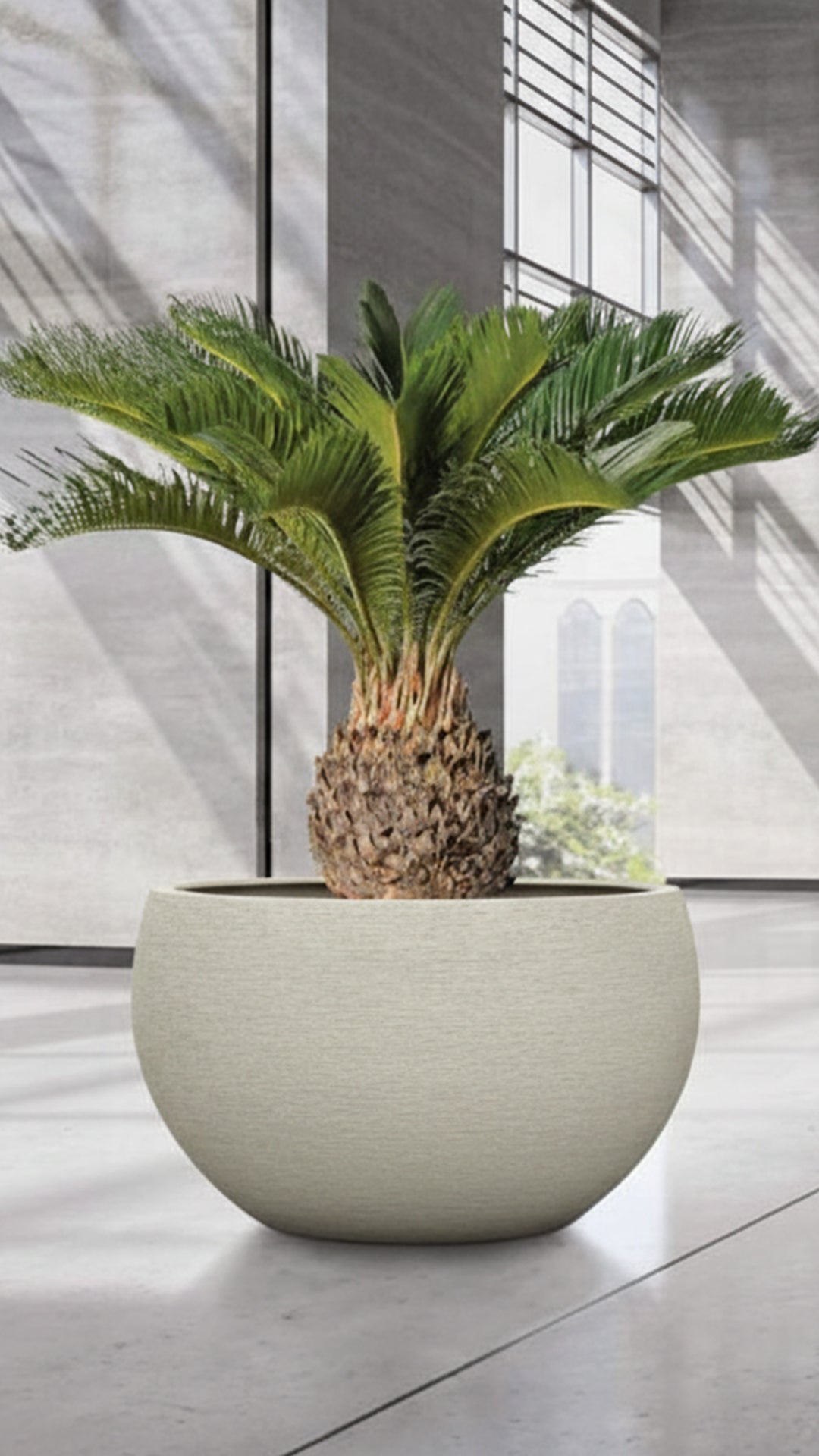 Sand Surface, Crema Grand Bowl