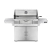 Charcoal Professional Grill