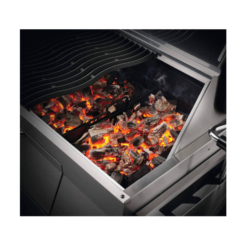 Charcoal Professional Grill