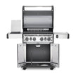 Rogue® SE 525 Gas Grill
