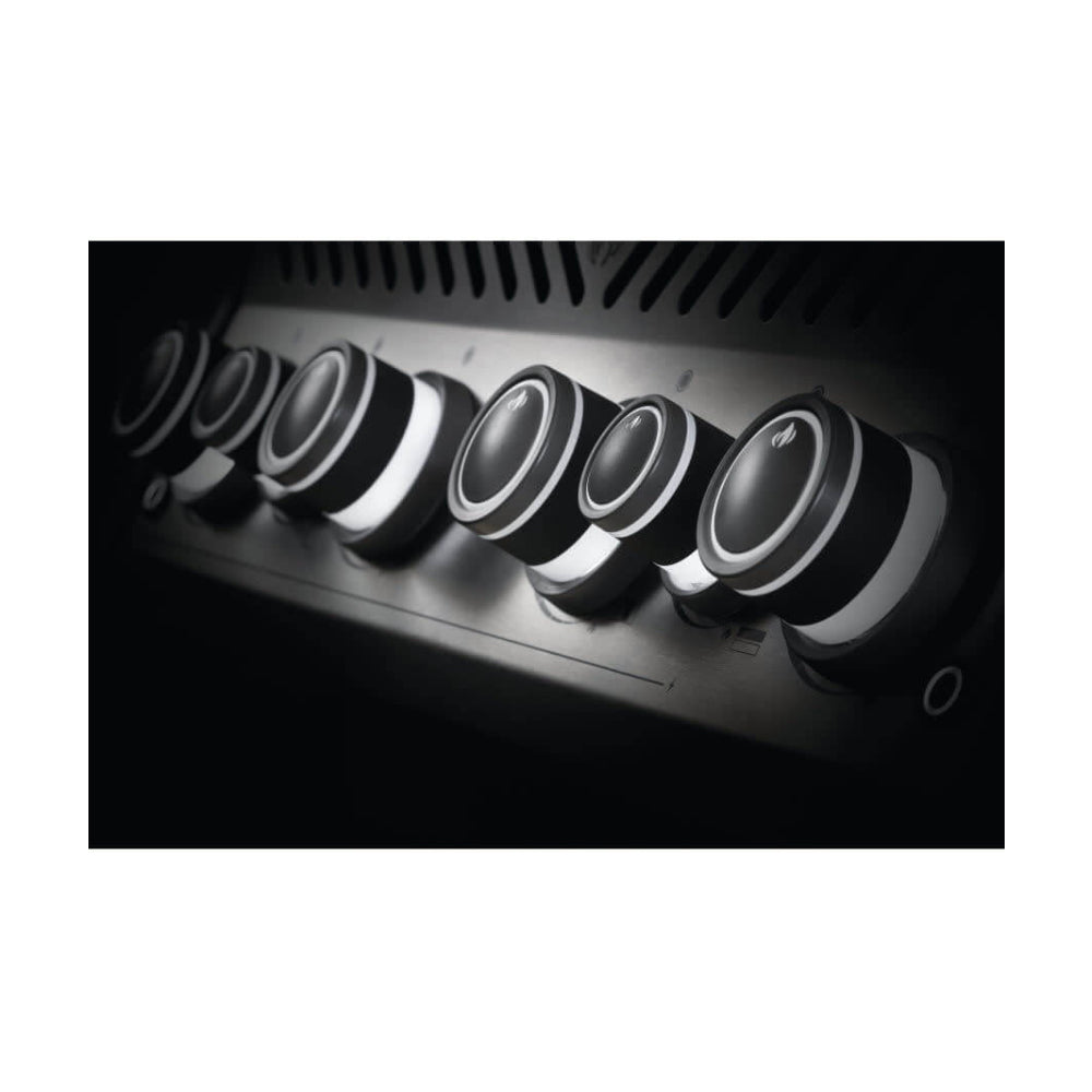 Rogue® SE 525 Gas Grill