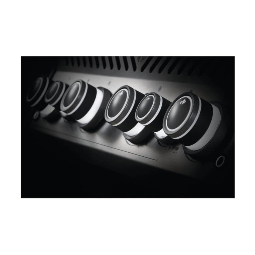 Rogue® SE 525 Gas Grill