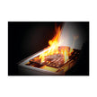 Rogue® SE 525 Gas Grill