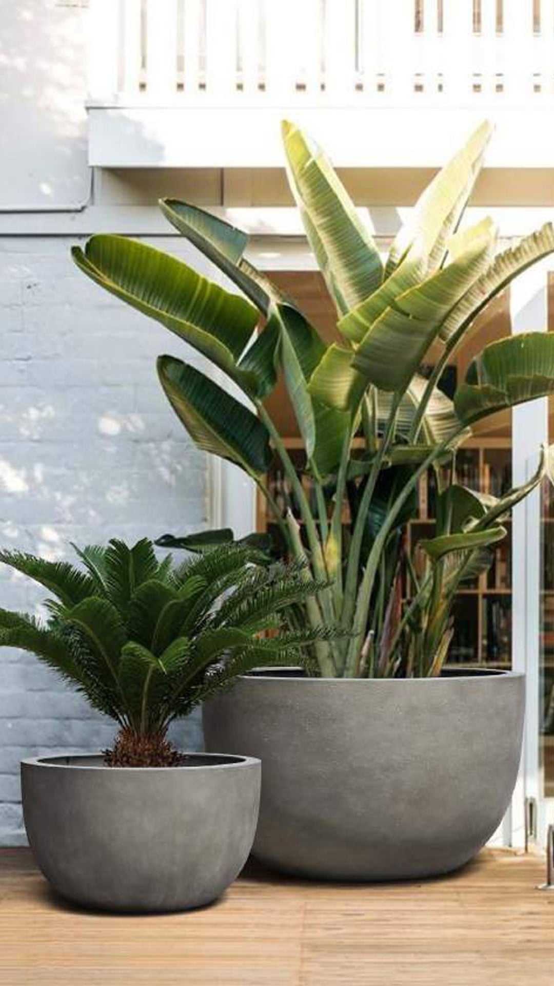 Natural Concrete Wide Egg Pot