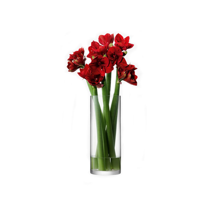 Column Giant Vase – H50 × Ø20 cm Clear Glass