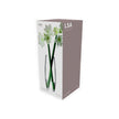 Flower Grand Stem Vase – H41 cm Clear Glass