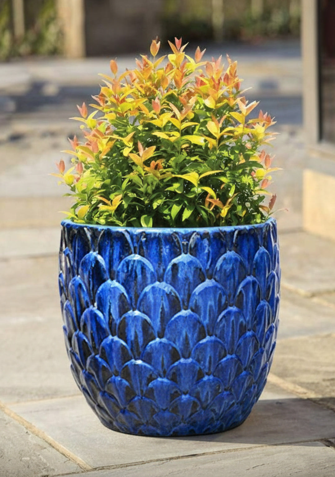 Royal Blue Atiso Pot