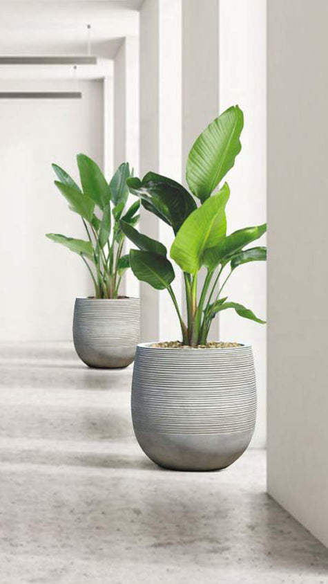 StoneLite Natural Concrete Balloon Pot