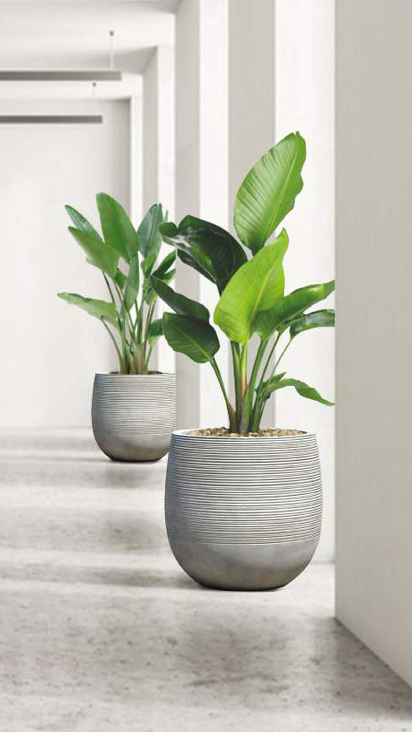 StoneLite Natural Concrete Balloon Pot