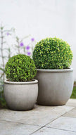 StoneLite Natural Concrete Round Rim Pots