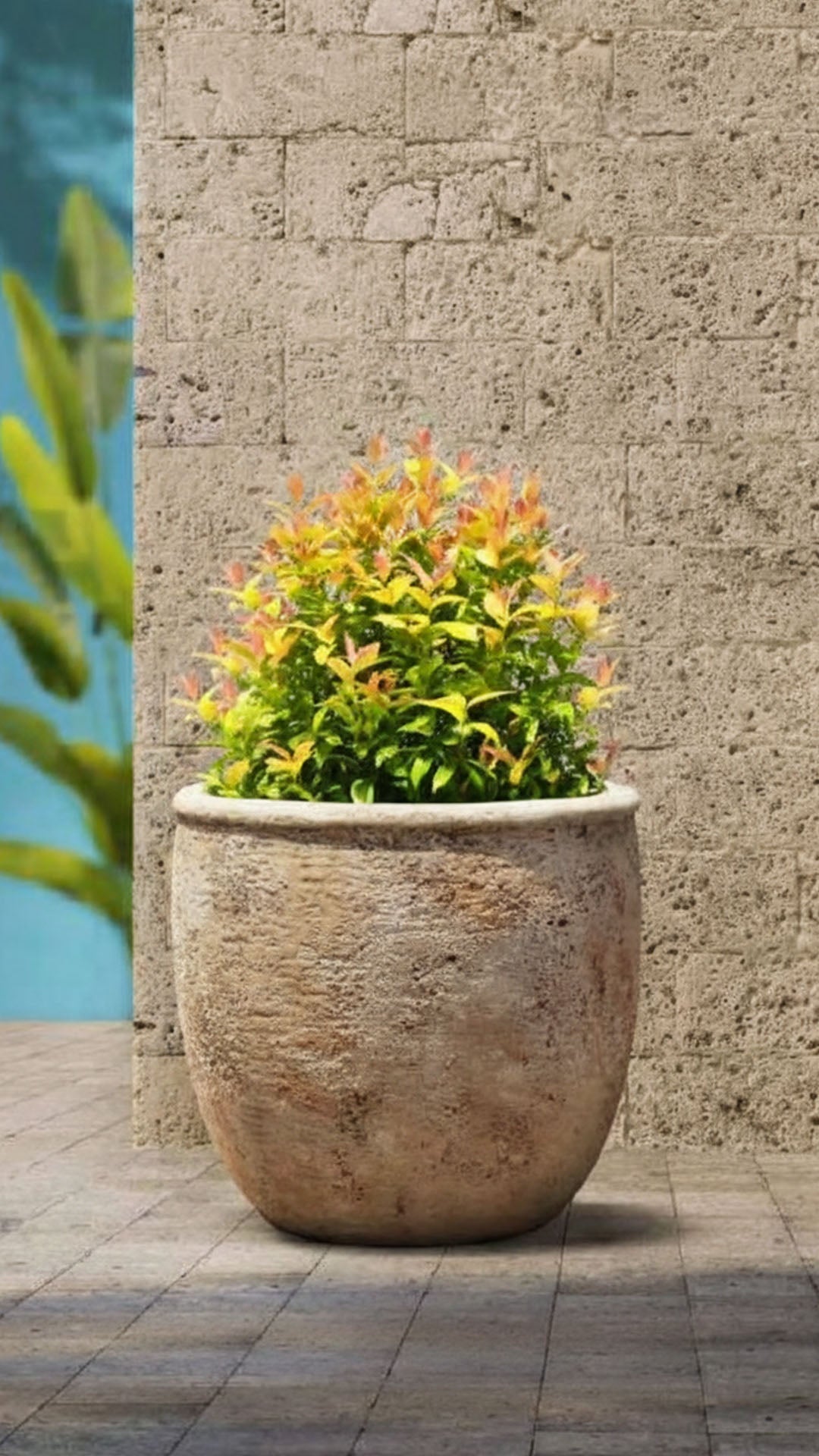 Terra Antico Antique Surface