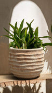 Terra Antico Balloon Wave Deco
