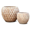Terra Antico Diamond Deco