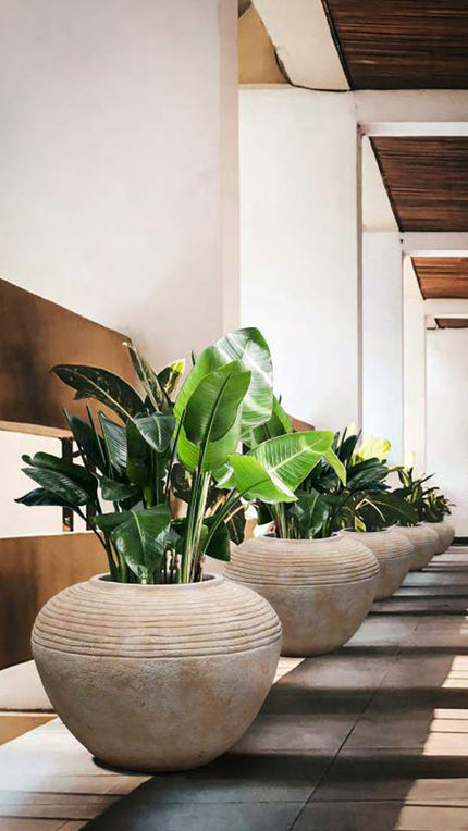 Terra Antico Jar, Horizontal