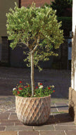 Terra Antico New Egg Pot Diamond Deco