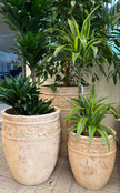 Terra Antico Traditional Deco