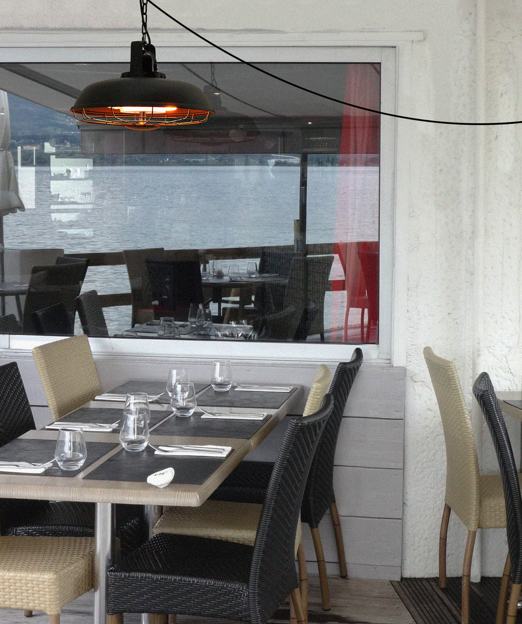 Double Clear Halogen Lamps Three Setting ZHQ2036-B